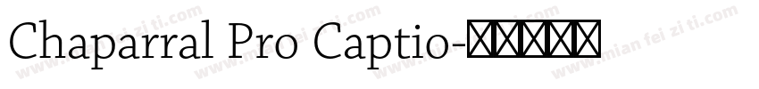 Chaparral Pro Captio字体转换